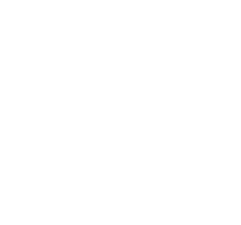 Evolution Line Media
